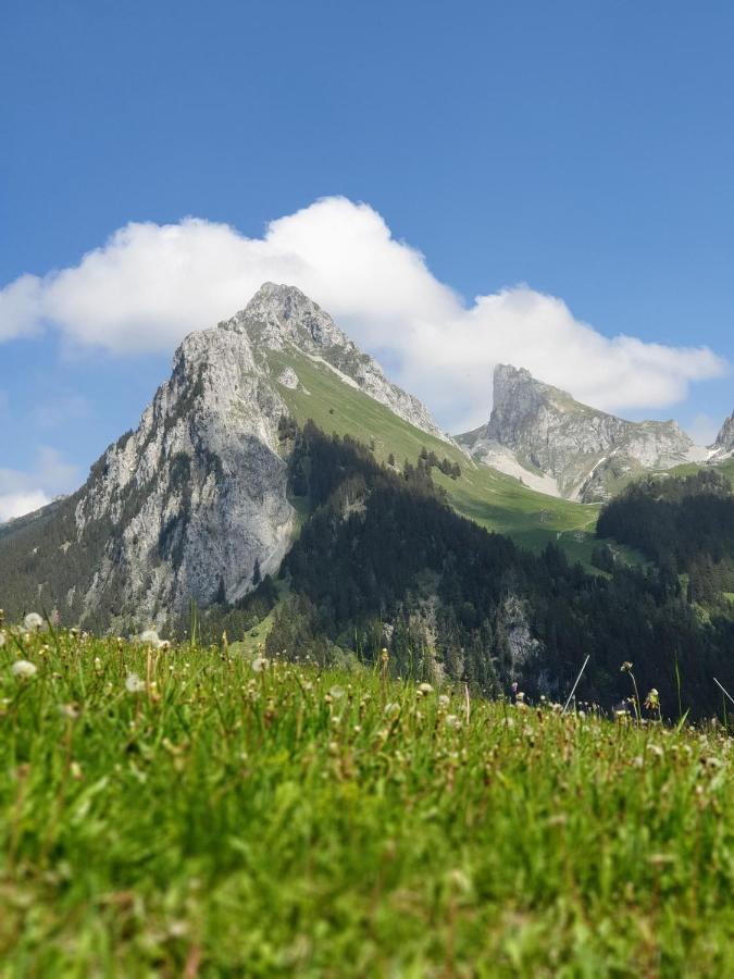 Le 211,ski et randonnée, lave linge ,parking Bernex Esterno foto